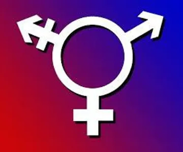 Are You A Lesbian, Bisexual, Or Straight? Are You A Lesbian, Bisexual, Or Straight?