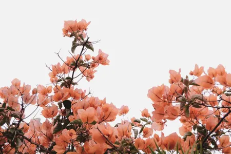 find your own unique aesthetic find your own unique aesthetic