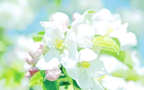 What personality do you have? (2)