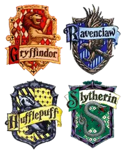 What Hogwarts house are you in? (2)