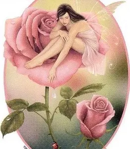 What element are you? (14)