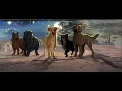 Survivors: Your Fate