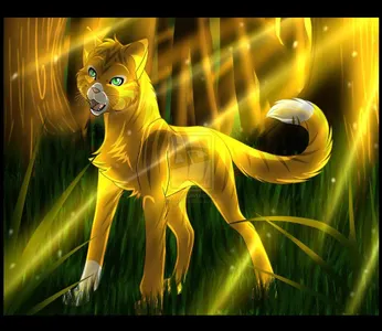 How well do you know Firepaw?