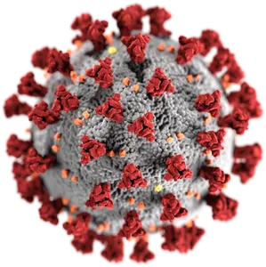 Corona Viruses COVID-19 Check Corona Viruses COVID-19 Check