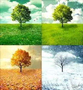 What season are you? (5)