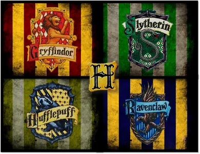 Harry Potter; sorting hat