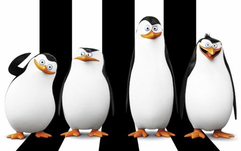 Which Madagascar Penguin Are You? Which Madagascar Penguin Are You?