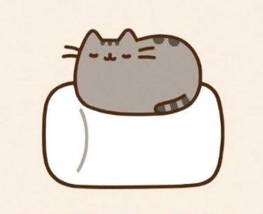 Pusheen Cat Quiz Pusheen Cat Quiz