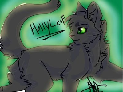 How much do you know about Hollyleaf? How much do you know about Hollyleaf?
