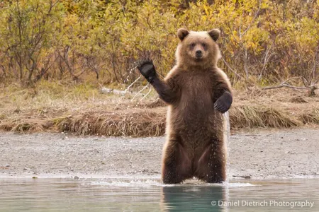 Who is your role model