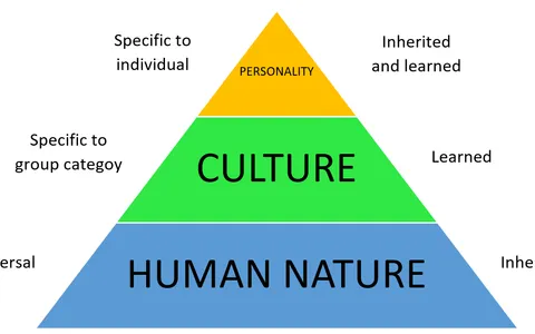 Which Coding Personality Are You?