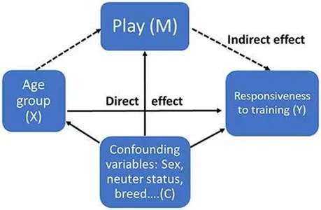 What's Your Pet Personality? (1)