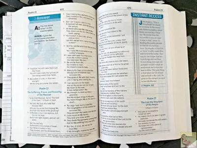 Test Your Knowledge of The Bible Test Your Knowledge of The Bible