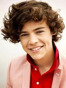 How well do u kno harry styles? How well do u kno harry styles?