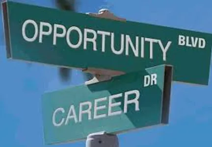 What is your Future Career?