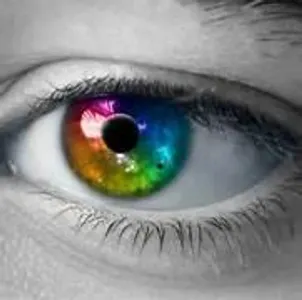 What Do Your Eyes Hide? What Do Your Eyes Hide?