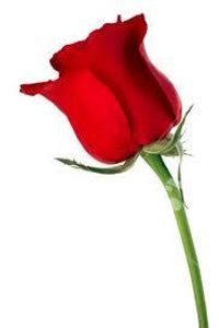 is he maddly in love with you is he maddly in love with you