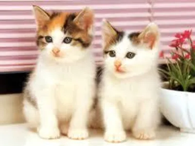 What would you look like if you were a rainbow?