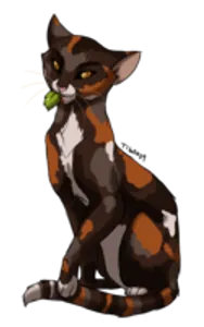 What ThunderClan Medicine Cat Are You? (Warriors)
