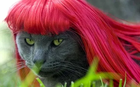 Weird but True 5 Weird but True 5