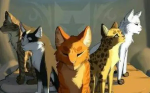 Warrior cats quiz!