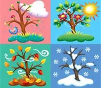 whats your fave season?
