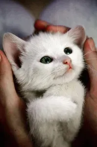 Would we be friends if we knew each other?