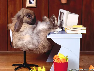 What job should you have? (1) What job should you have? (1)