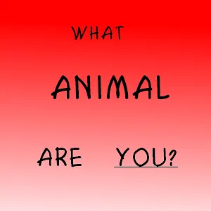 WHAT ANIMAL ARE YOU??? WHAT ANIMAL ARE YOU???