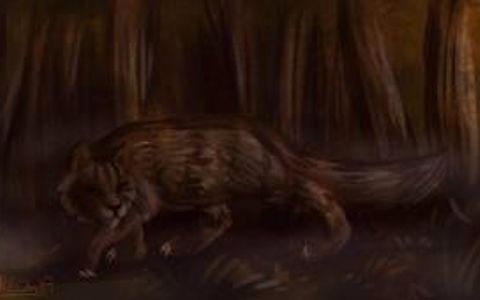 Which Dark Forest warrior are you? Which Dark Forest warrior are you?