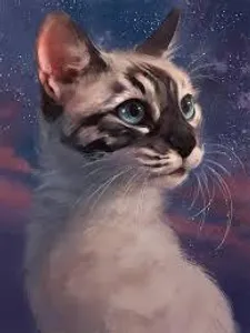 Extreme Warrior Cats Challenge