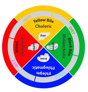The Four Humors The Four Humors