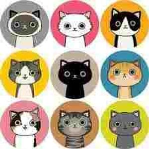 Are you a Kawaii Kitty? Are you a Kawaii Kitty?