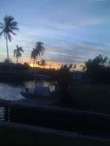 what video game are you?