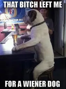 Which animal fits your personality?