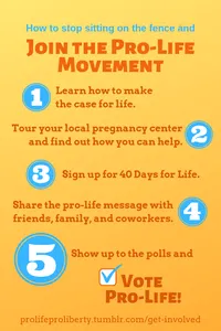 Where do you fit in the pro-life movement? Where do you fit in the pro-life movement?