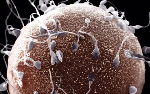 Which global pandemic would you have survived?