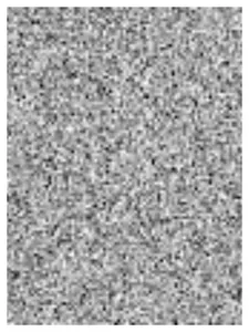 Which One Of These Random People Are You?