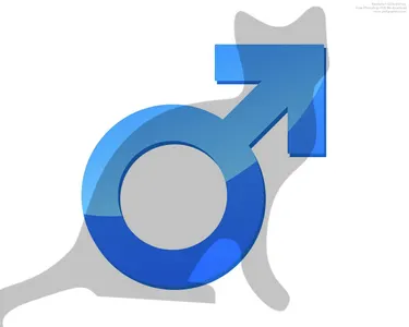 Which tom cat are you?