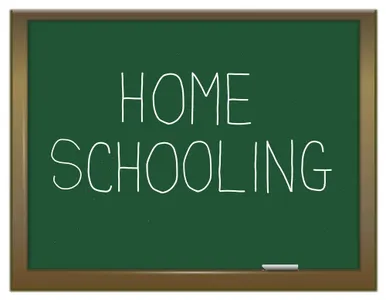 Should you homeschool?