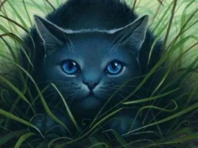 what are your warrior cat kits, mate, clan and name? what are your warrior cat kits, mate, clan and name?