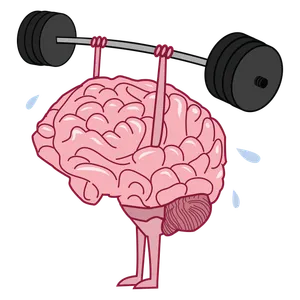 Challenge your Elliptical Training IQ!