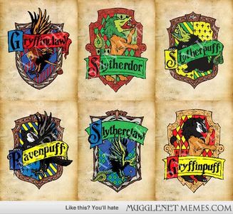 which combined Hogwarts house do you belong in? which combined Hogwarts house do you belong in?