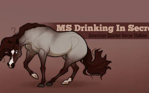 What's Your Horse Personality?