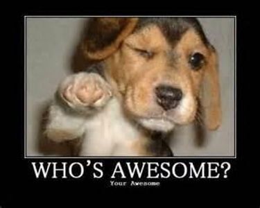 Gina's Guide To Being Awesome Girls Only, But Boys If Really Stupid Gina's Guide To Being Awesome Girls Only, But Boys If Really Stupid