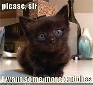 So, Dumbledore got a chatroom... sherbet-lemon lovers are invited!! So, Dumbledore got a chatroom... sherbet-lemon lovers are invited!!
