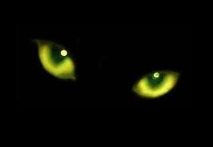 Ghost Stories Ghost Stories