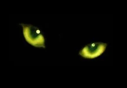 Ghost Stories Ghost Stories