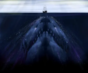 Bermuda triangle's mystery. Bermuda triangle's mystery.