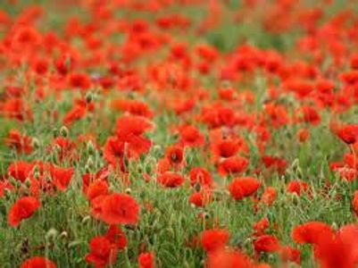 Let's remember Let's remember